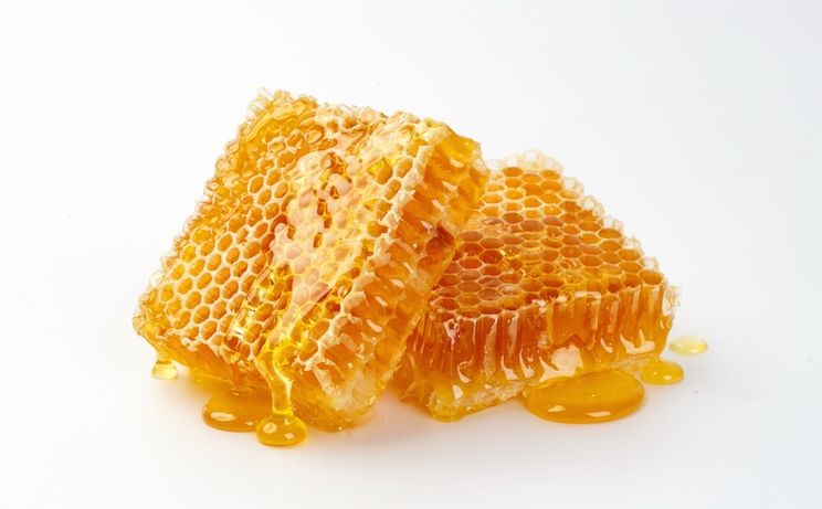  Raw Honey Linden Mount Hood Mt. Hood Melrose MA